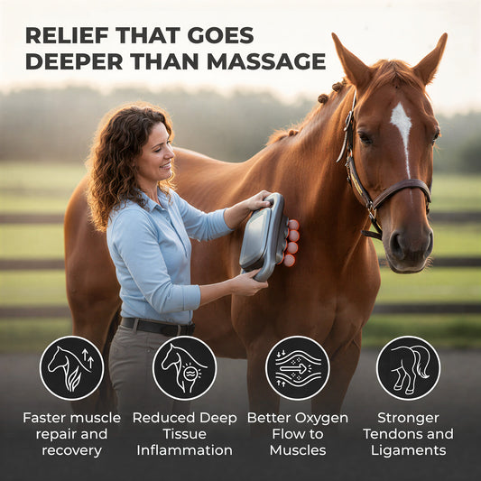 StableFlow - 8 Head Red Light Massage Gun