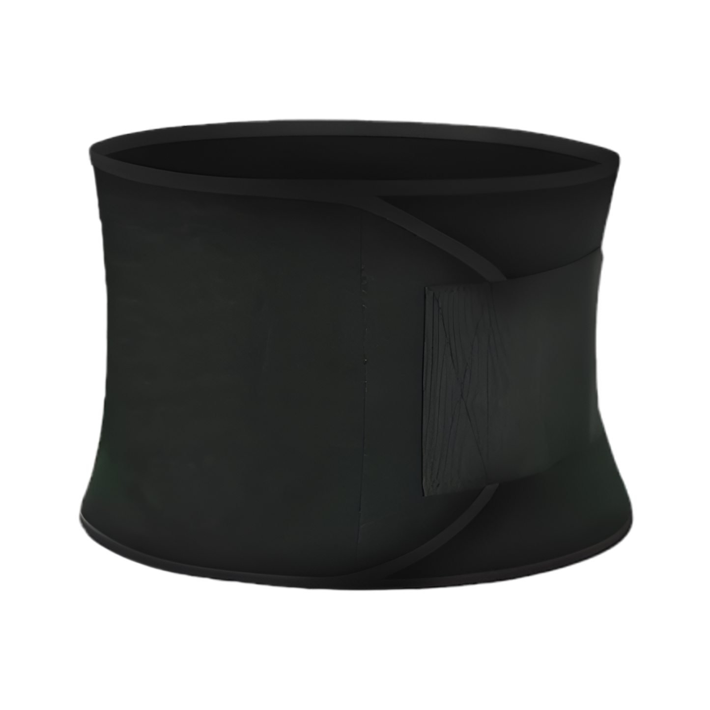 Fitness Waist Trainer