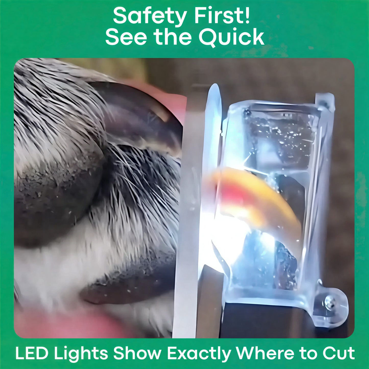 The GlowTrim by Trendlies