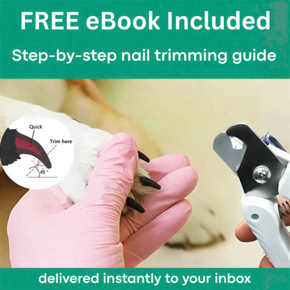 The GlowTrim by Trendlies