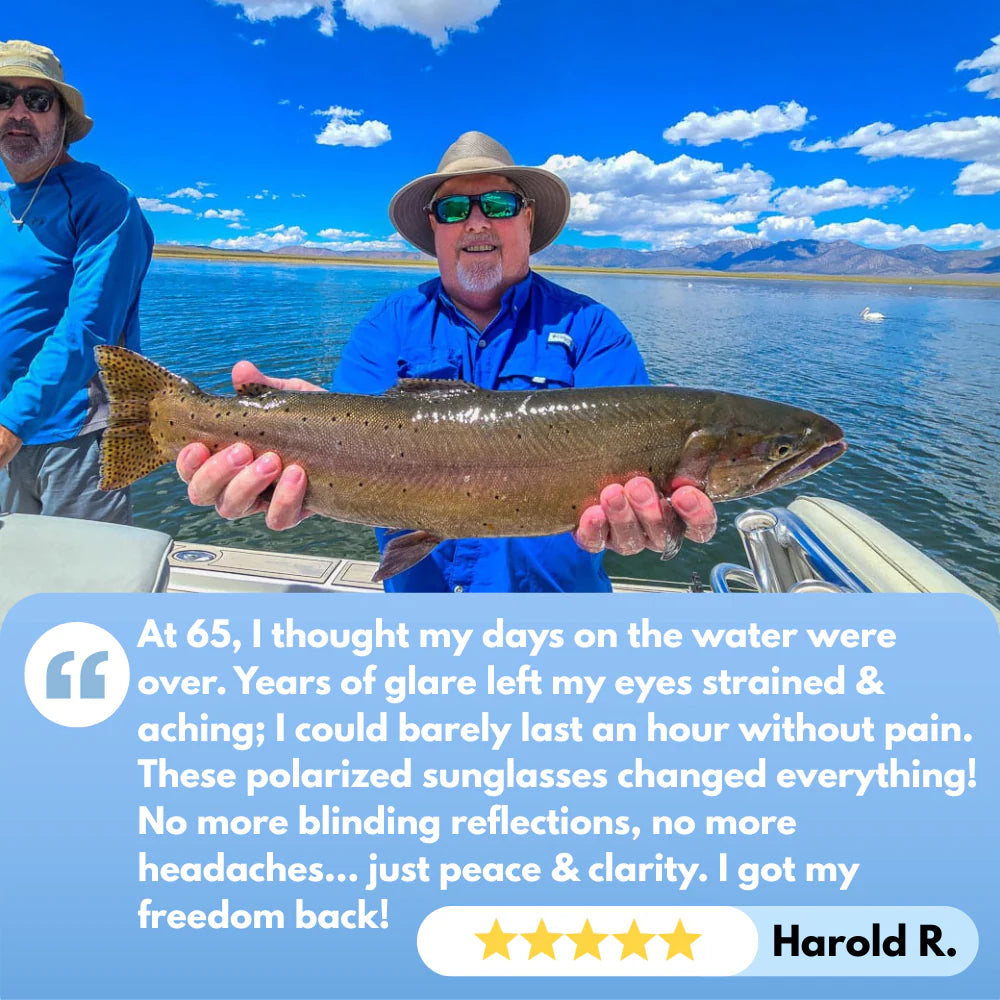 HD Polarized Sunglasses