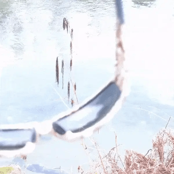 Chic Polarized Sunglasses